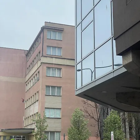 Daire Stan Na Dan Flower *