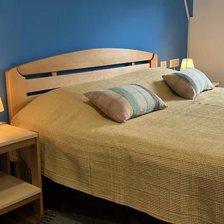 Stan Na Dan Flower * Šabac